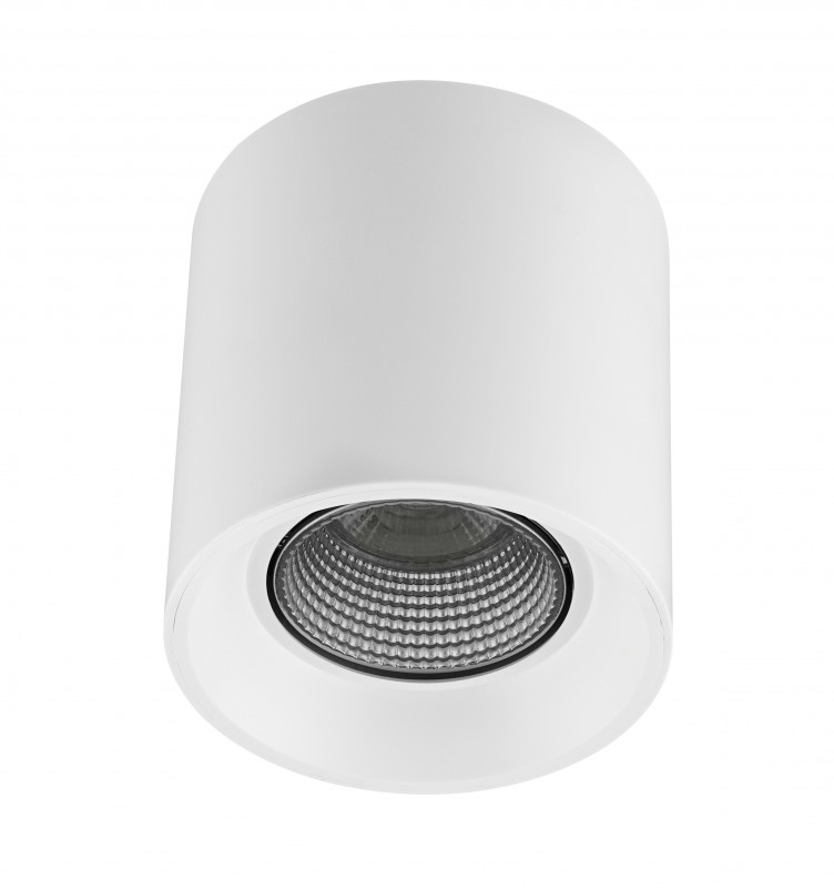 Точечный накладной светильник Denkirs DK3090-WH+CH