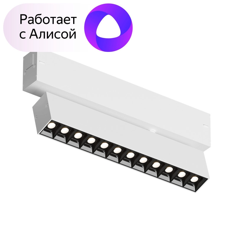 Светильник на шине Denkirs DK8006-WB