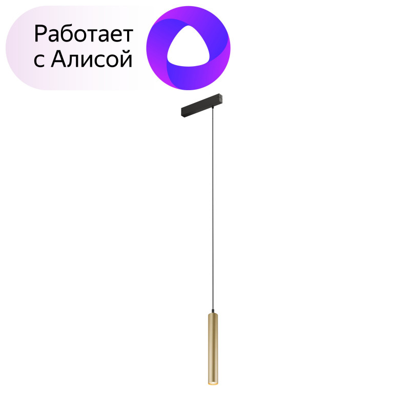 Трековый светильник Denkirs DK8008-BG