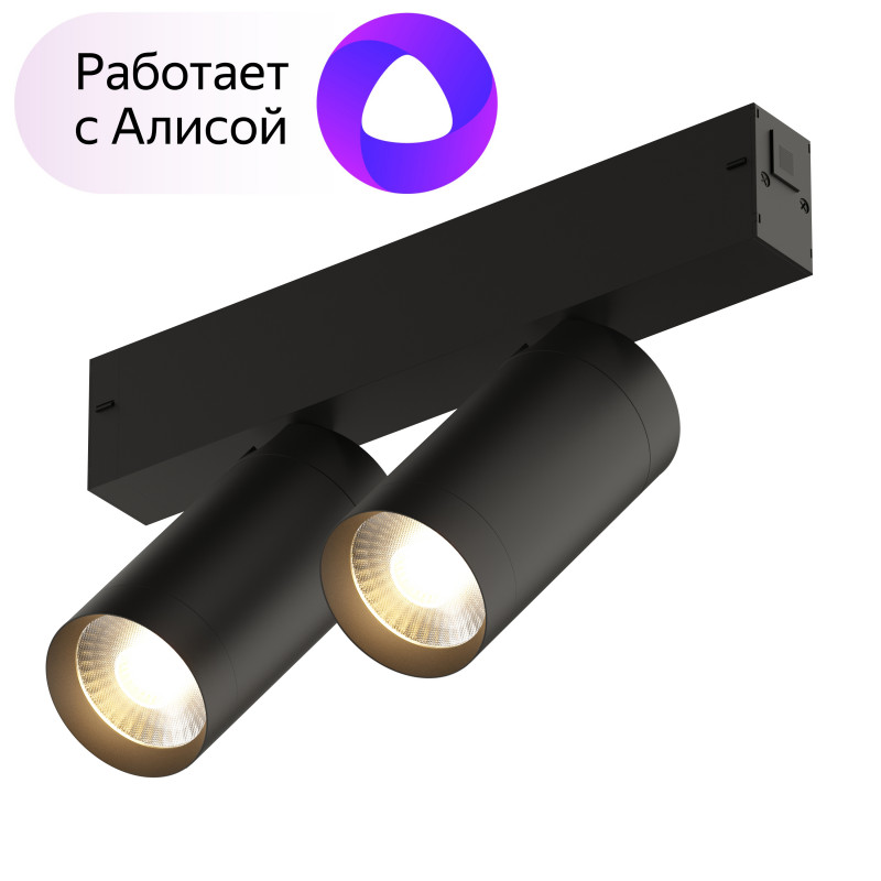 Трековый светильник Denkirs DK8012-BK